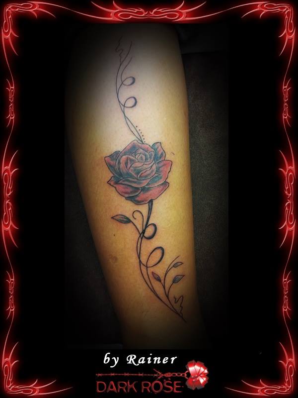 Darkrose Darkrose Tattoo Bückeburg &amp; Minden